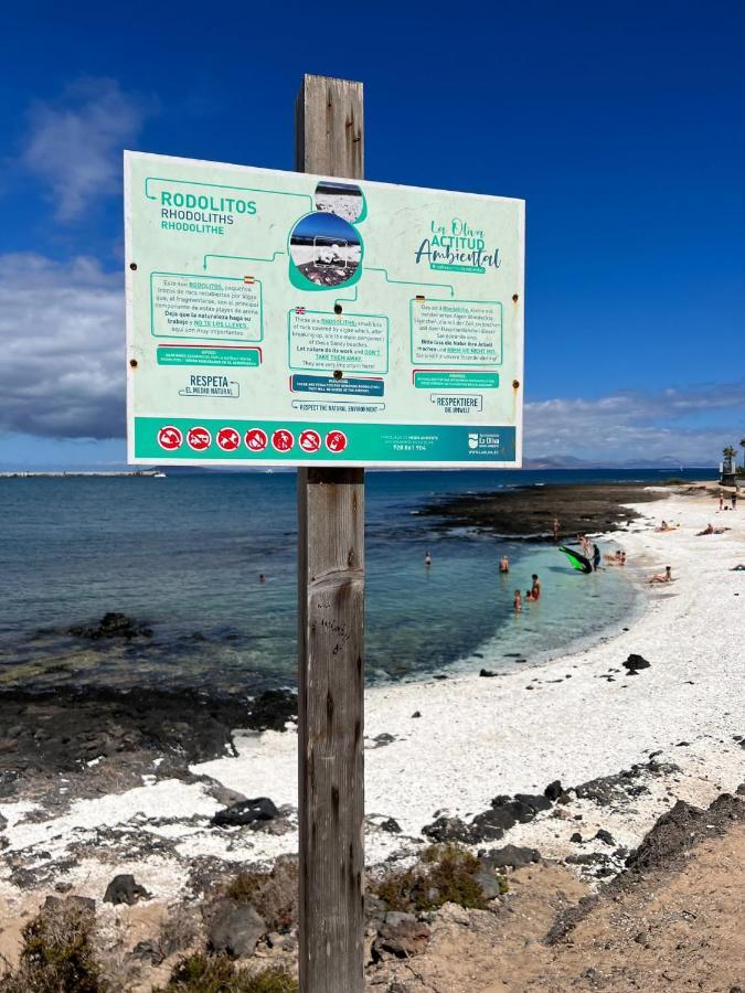 Delfines 61 Daire Corralejo Dış mekan fotoğraf